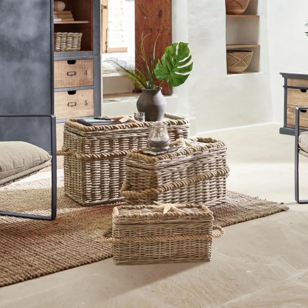 Lot de 3 malles Beckley