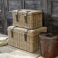 Lot de 2 malles Darill