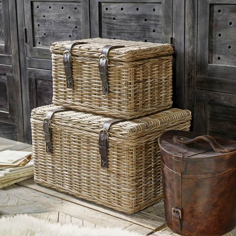 Lot de 2 malles Darill