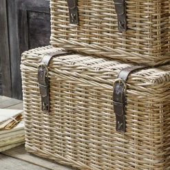 Lot de 2 malles Darill