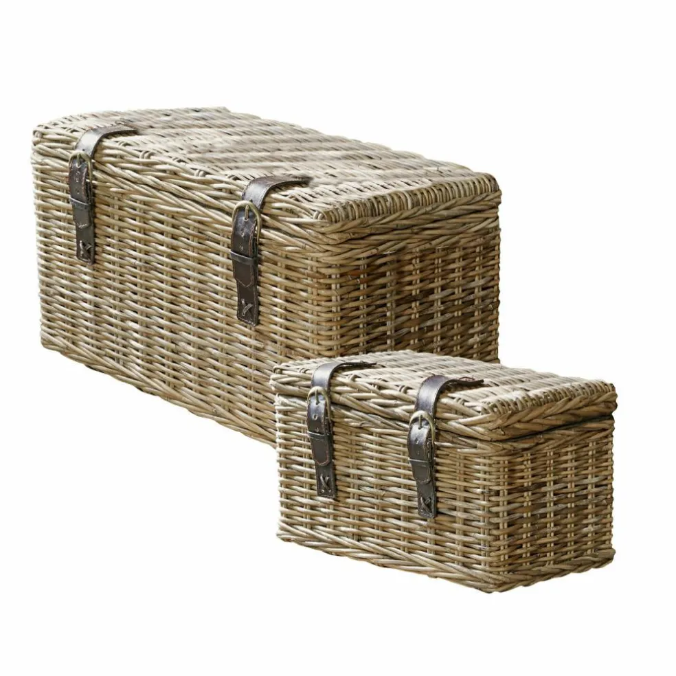 Lot de 2 malles Darill