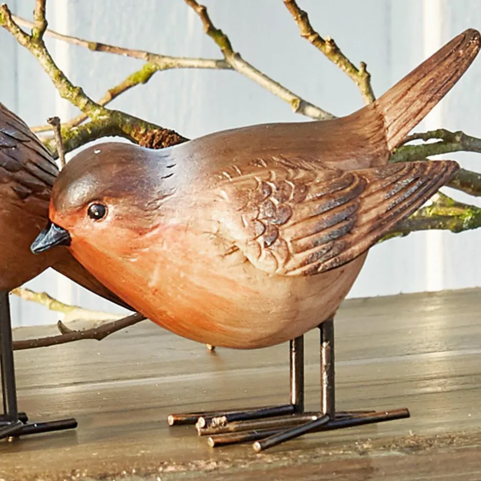 Lot de 4 oiseaux Siblings