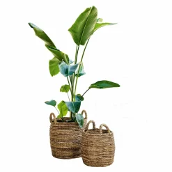 Lot de 2 paniers Carlin