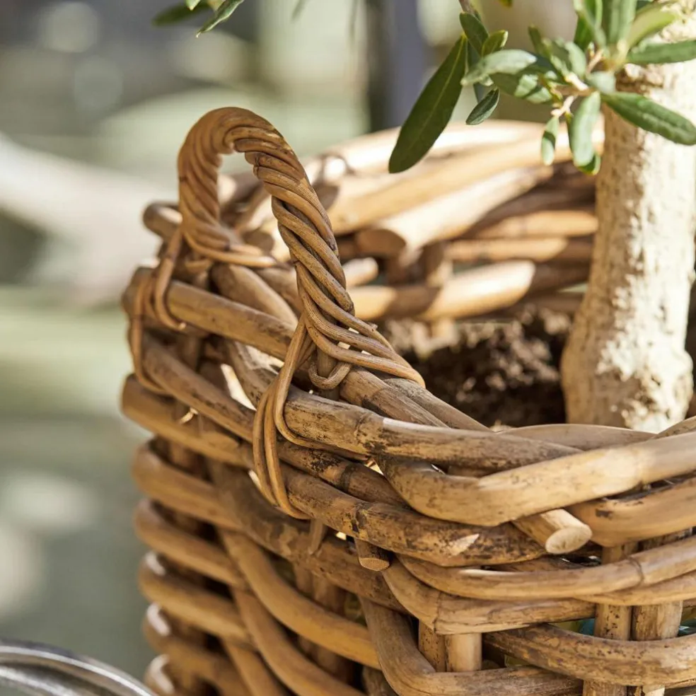 Lot de 3 paniers Chalet