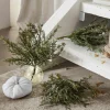Lot de 3 plantes décoratives Emmet