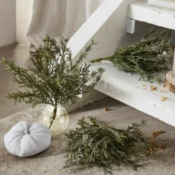 Lot de 3 plantes décoratives Emmet