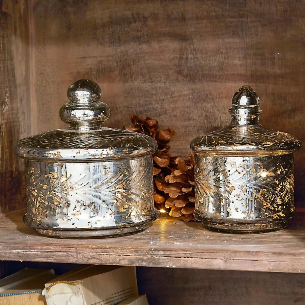 Lot de 2 pots en verre Elexa