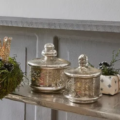 Lot de 2 pots en verre Elexa