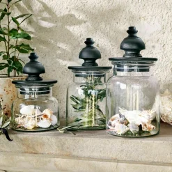 Lot de 3 pots Hakeen