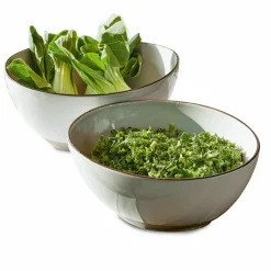 Lot de 2 saladiers Biarré