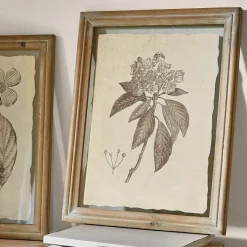 Lot de 2 tableaux Guyra