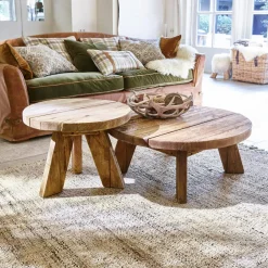 Lot de 2 tables d’appoint Oteley