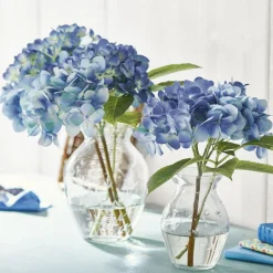 Lot de 2 vases Paimpont