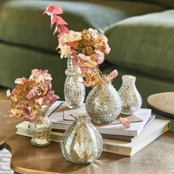 Lot de 5 vases Petillantique