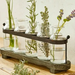 Lot de 5 vases Ranjo