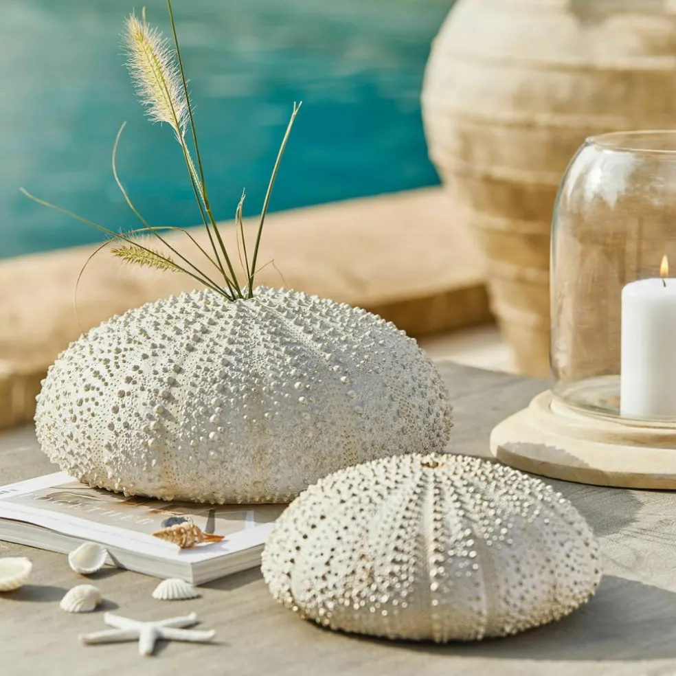 Lot de deux oursins décoratifs Kimbar