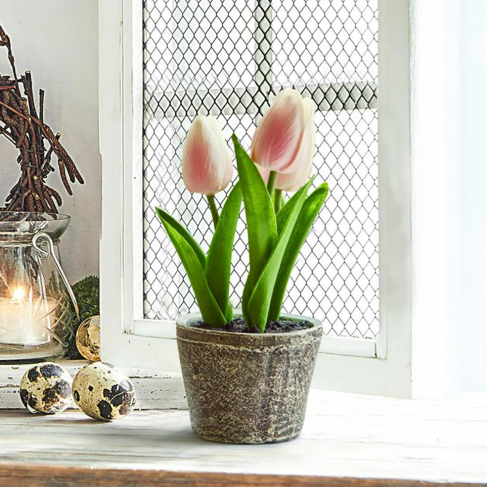 Lot de deux pots de tulipes décoratives Zéphine
