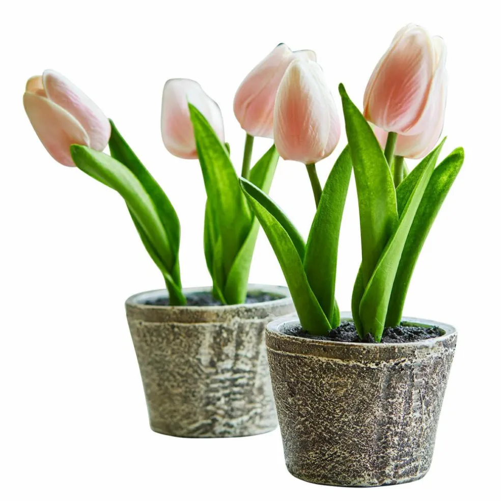 Lot de deux pots de tulipes décoratives Zéphine