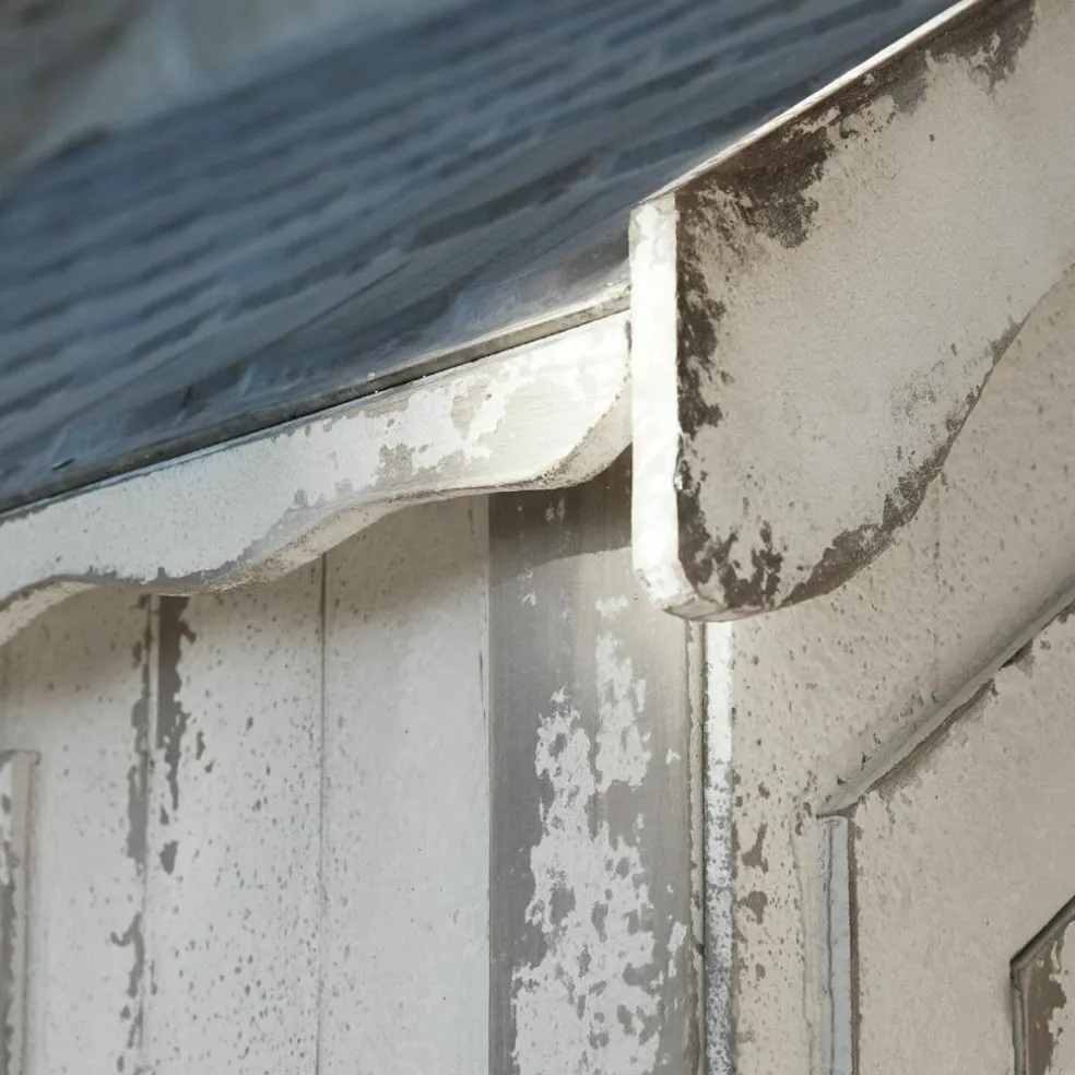 Maisonnette de jardin Lettret