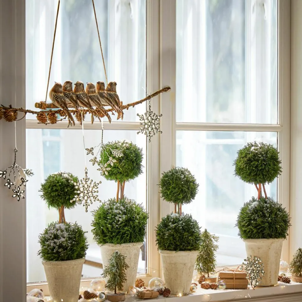 Oiseaux perchés Orely