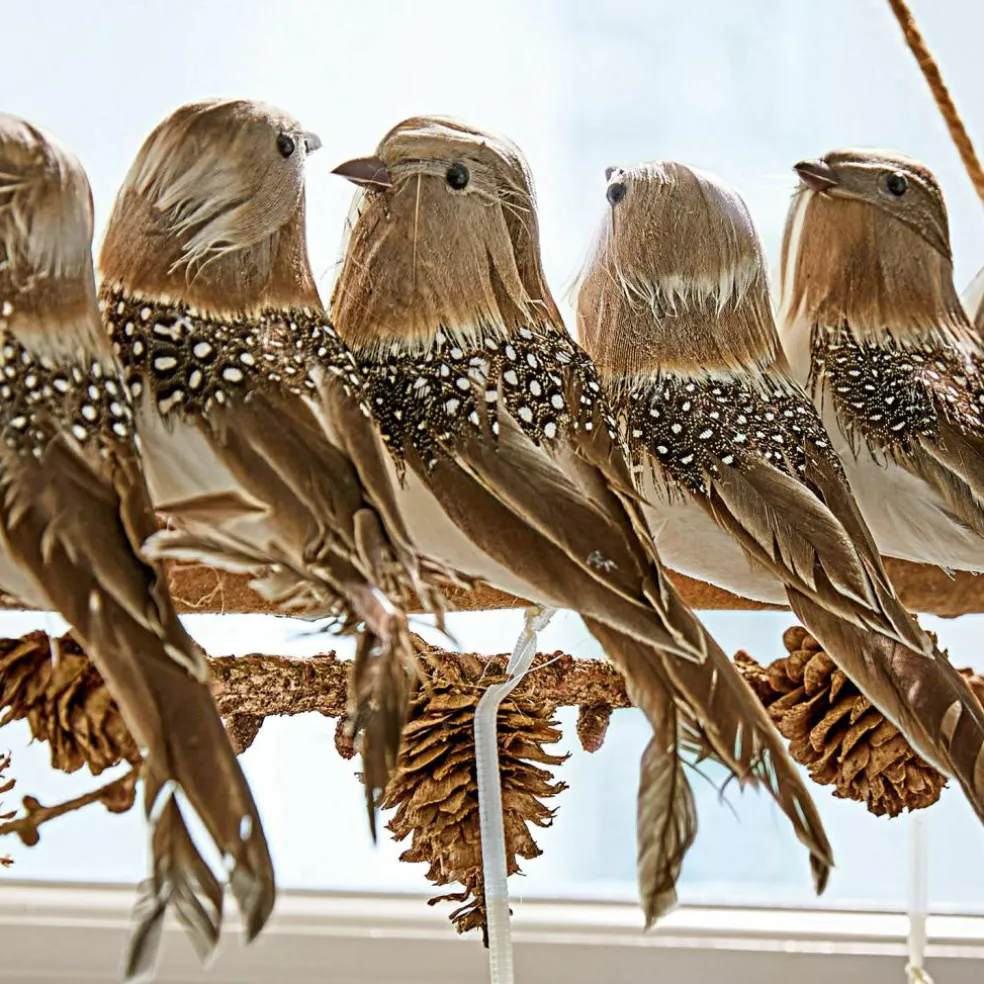 Oiseaux perchés Orely