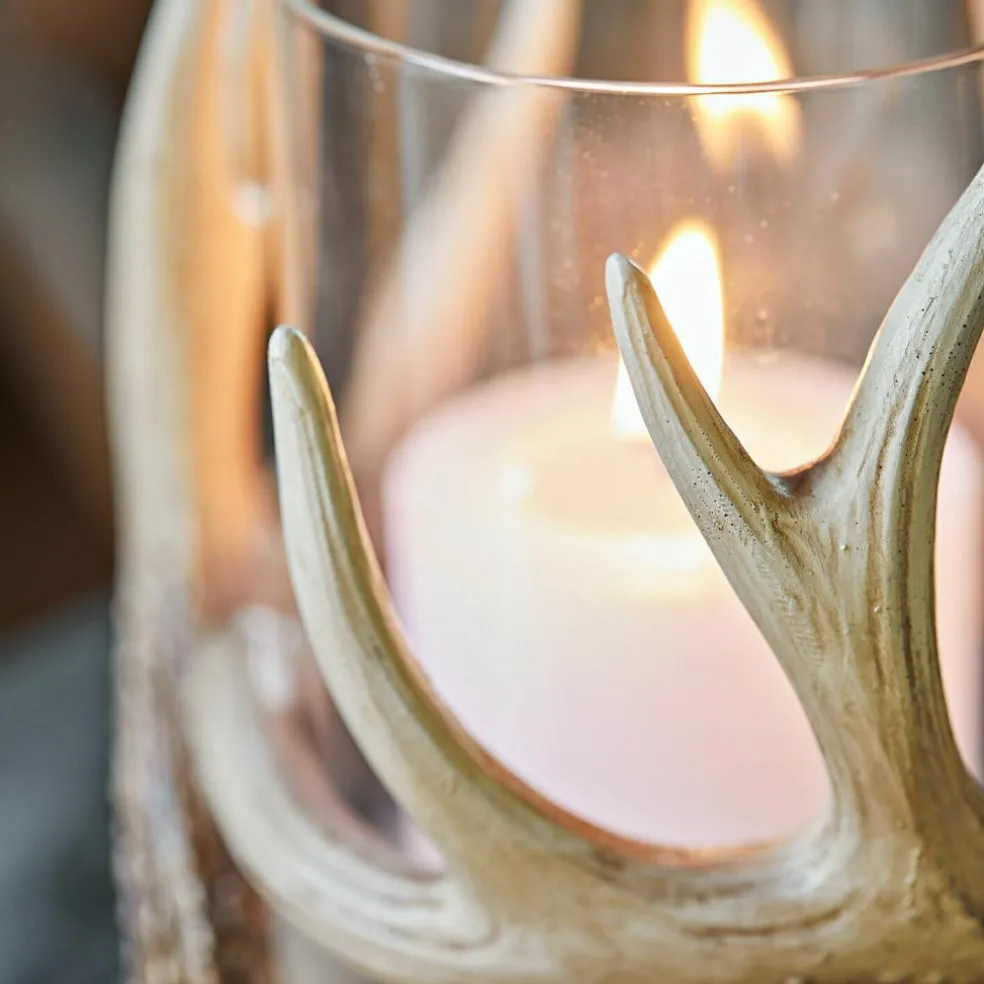 Photophore Inglewood