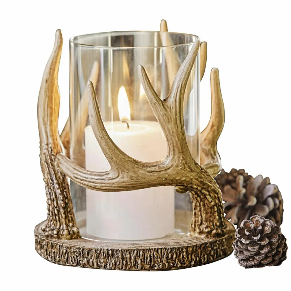 Photophore Inglewood