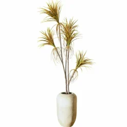 Plante décorative en pot Ancerac