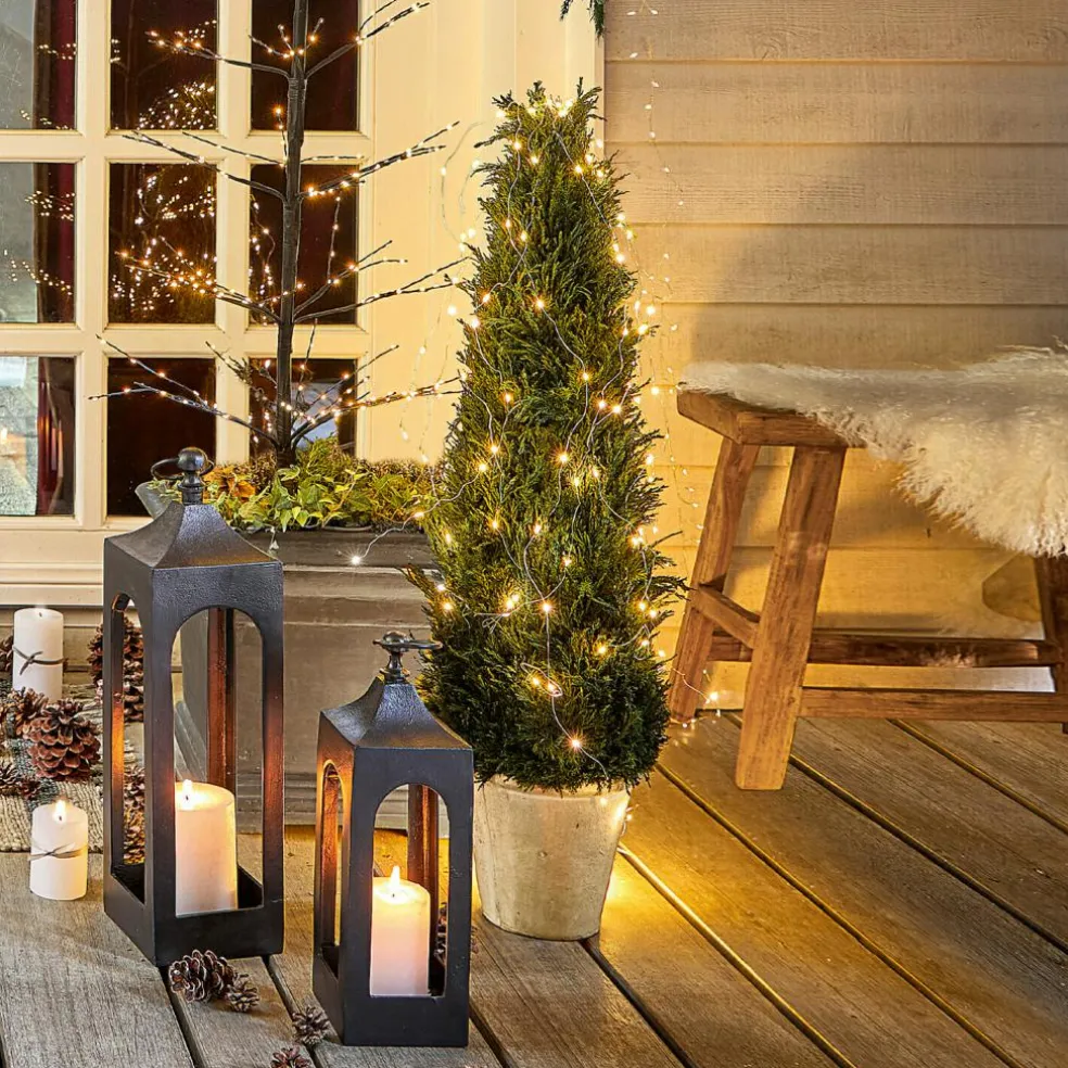 Plante décorative en pot Arras