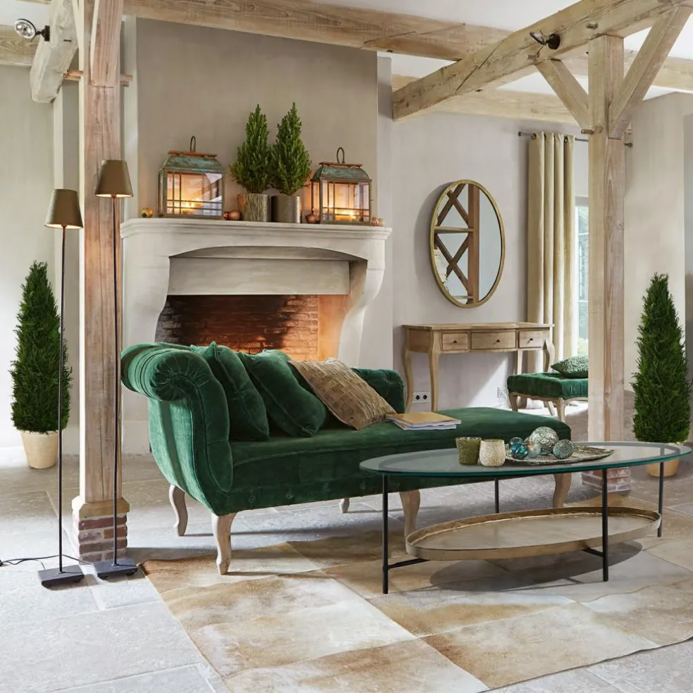 Plante décorative en pot Arras