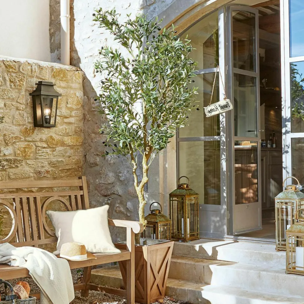 Plante décorative en pot Dambly