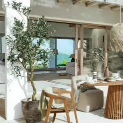 Plante décorative en pot Dambly