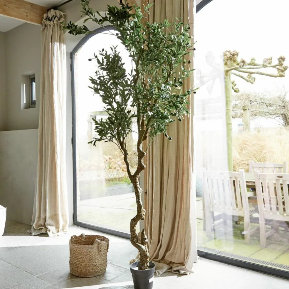 Plante décorative en pot Dambly