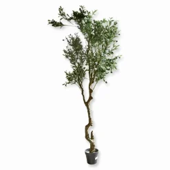 Plante décorative en pot Dambly