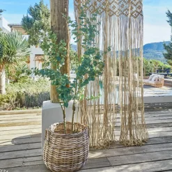 Plante décorative en pot Dorevi