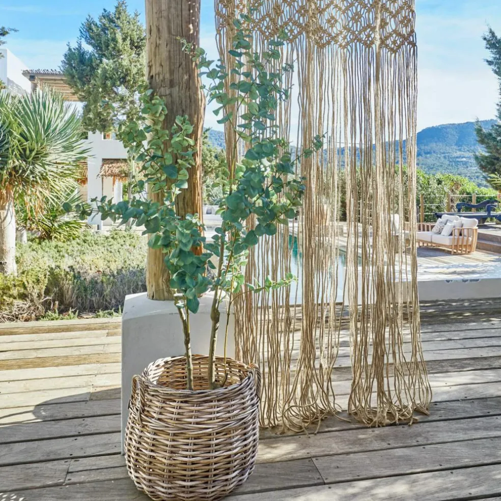 Plante décorative en pot Dorevi