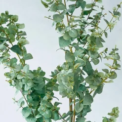 Plante décorative en pot Dorevi