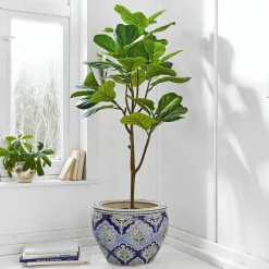 Plante décorative en pot Evolet