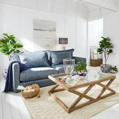 Plante décorative en pot Evolet