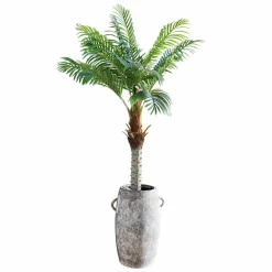 Plante décorative en pot Zephyriel