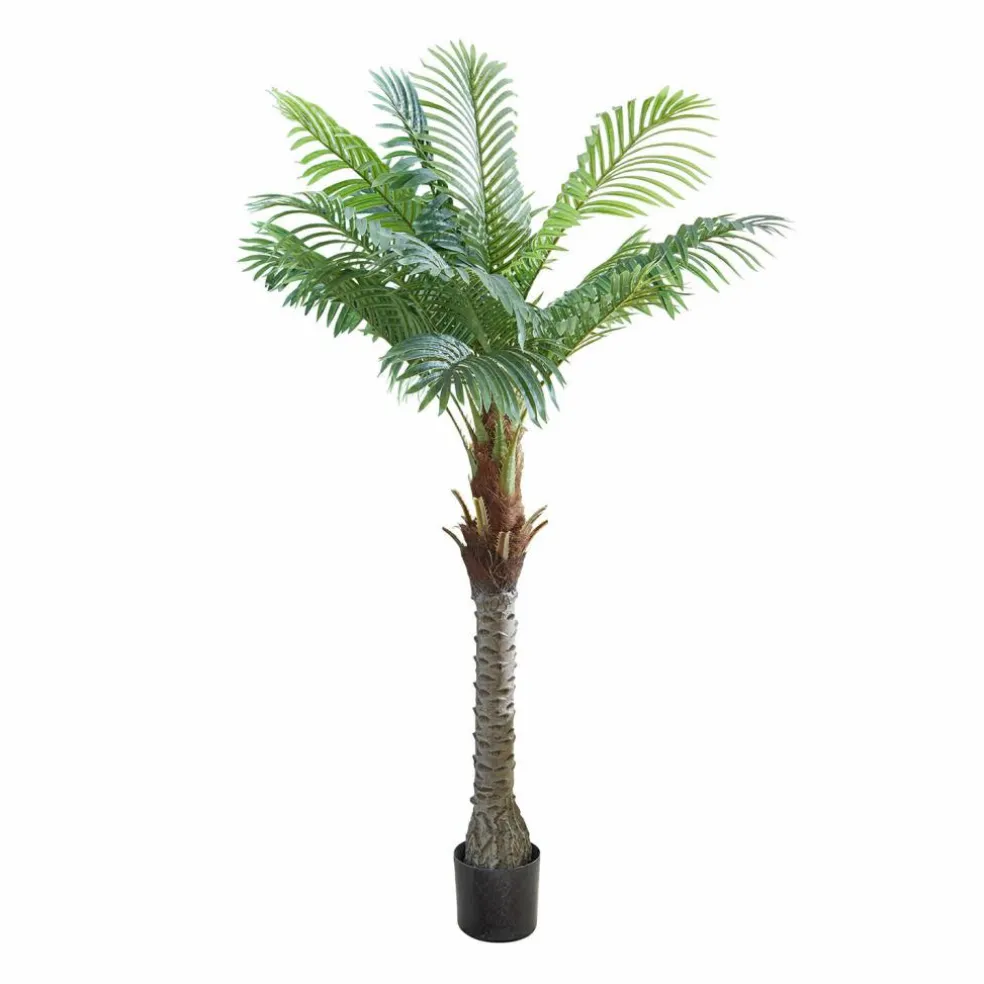 Plante décorative en pot Zephyriel