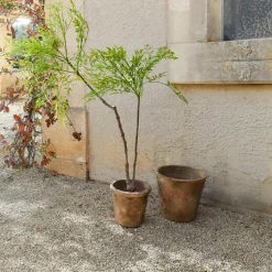 Plante en pot décorative 2d choix Avenelle