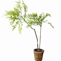 Plante en pot décorative 2d choix Avenelle