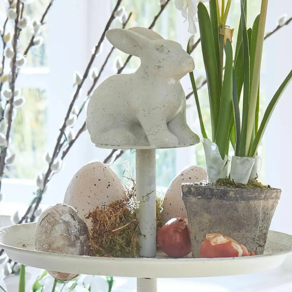 Présentoir à œufs Delixor