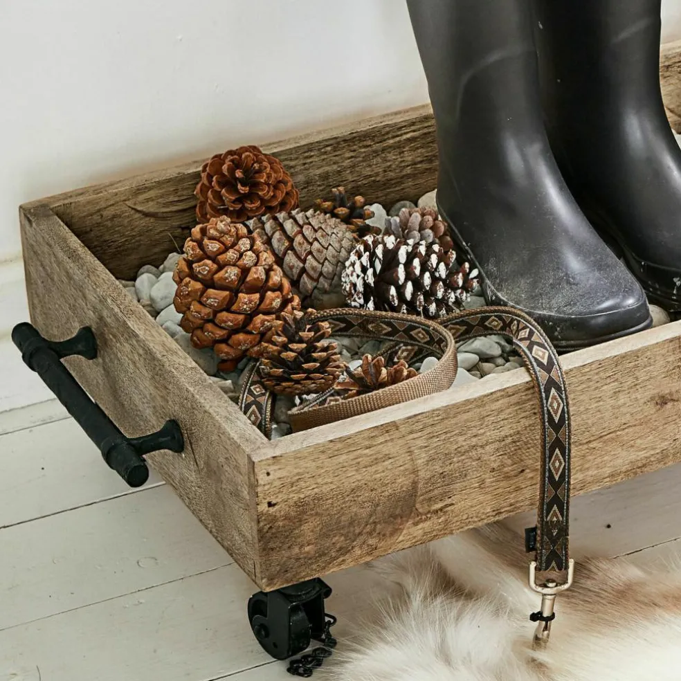 Rangement à chaussures Taylors Island