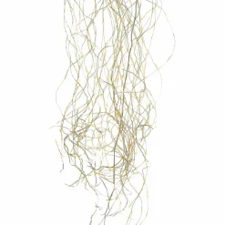 Rideau lumineux Lysfjord