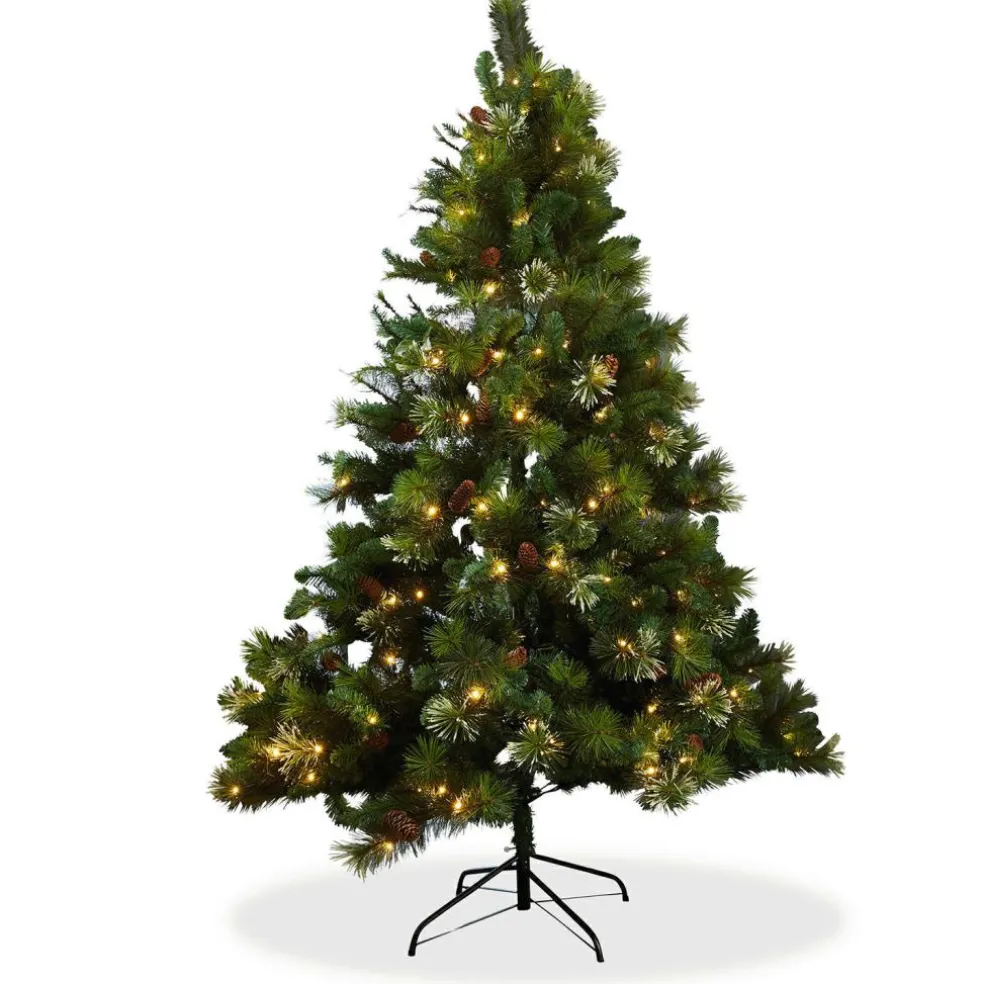 Sapin de Noël Aure