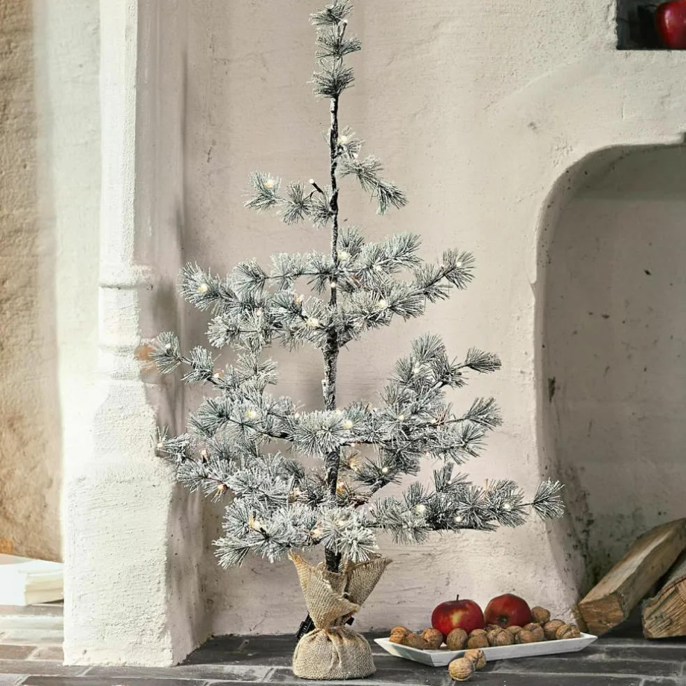 Sapin de Noël Falkirk