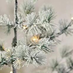 Sapin de Noël Falkirk