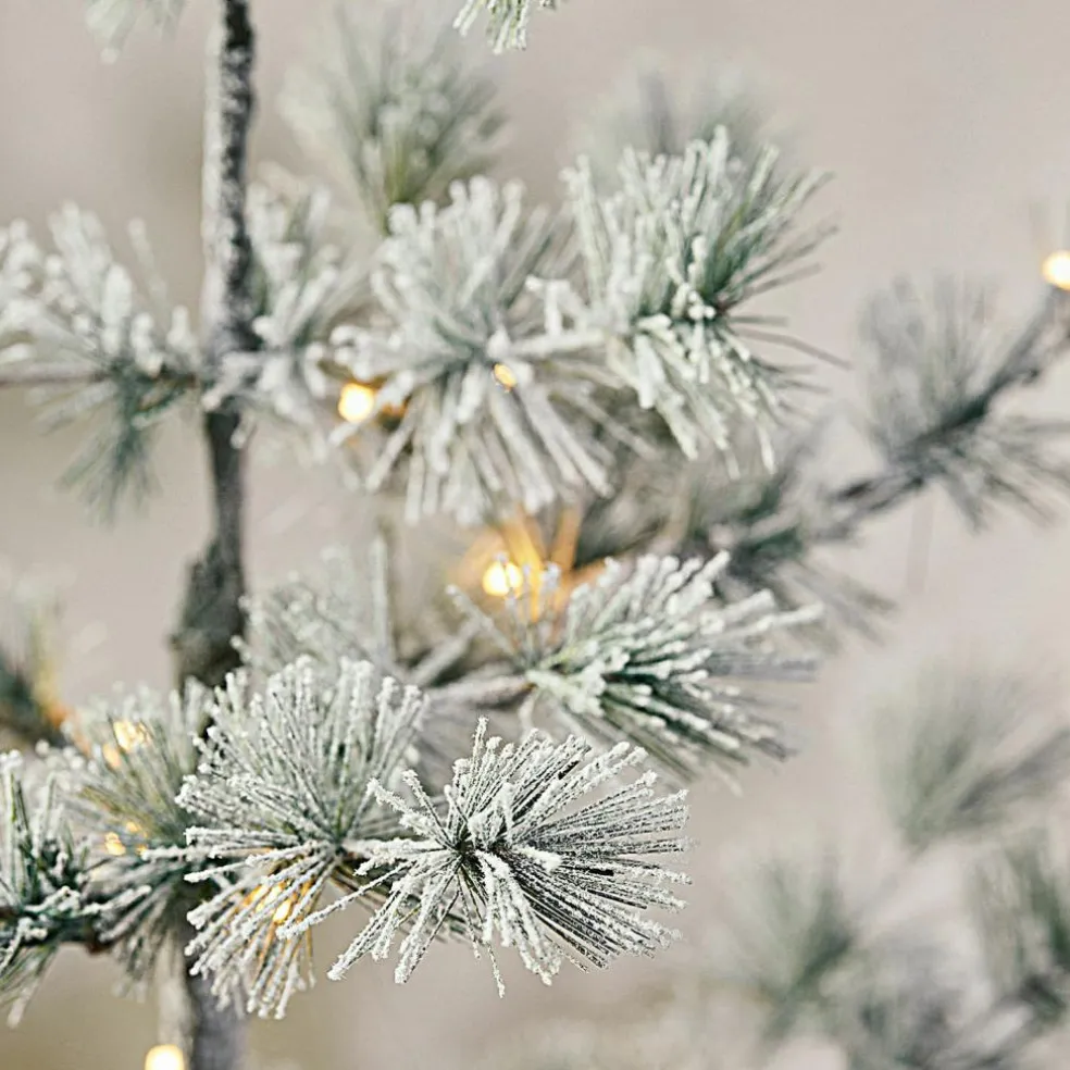 Sapin de Noël Falkirk